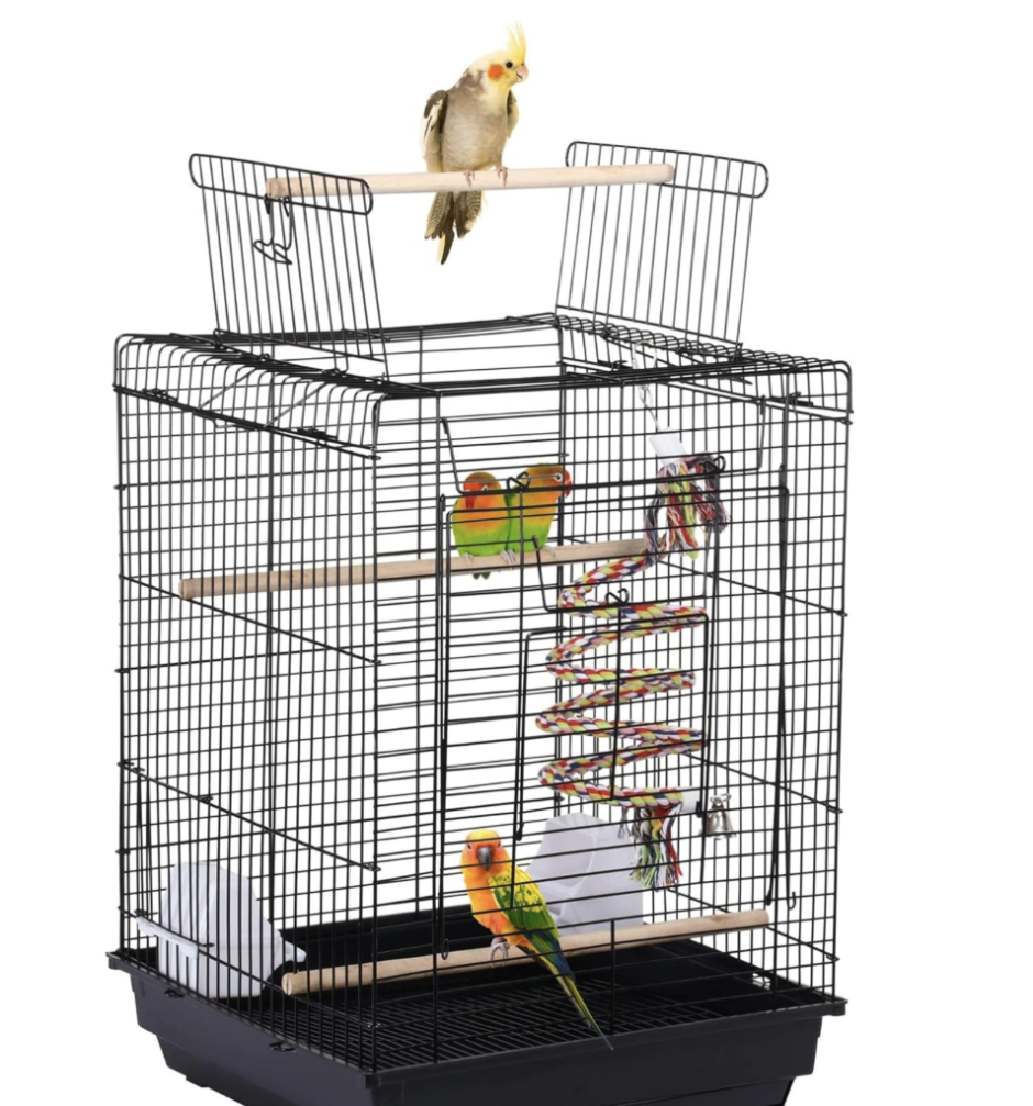 how much do bird cages cost